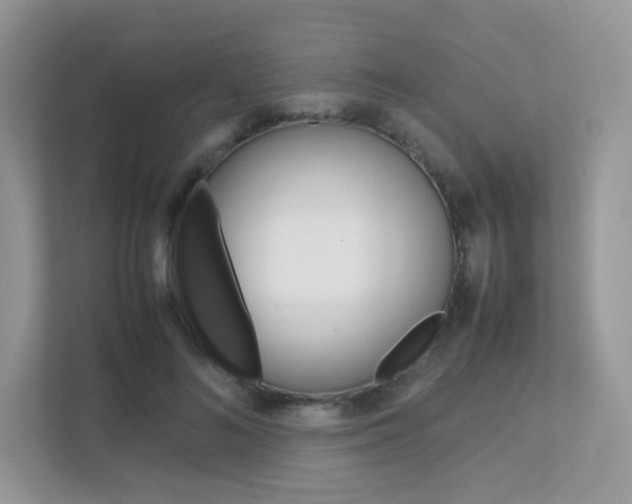 X0000113240692200909100923