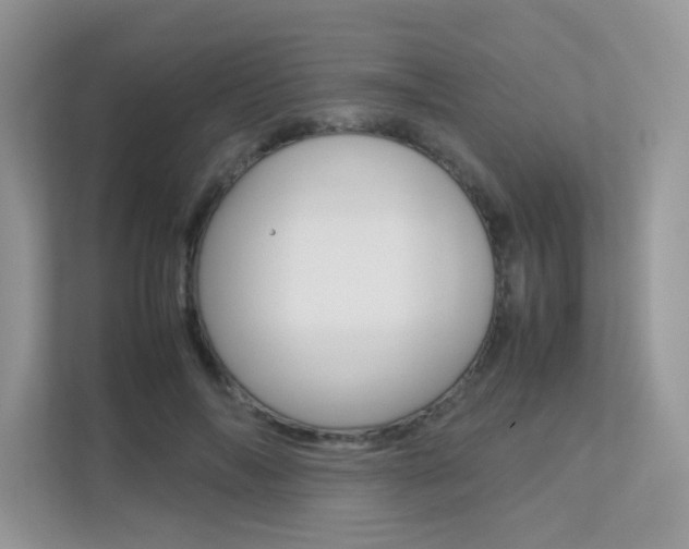 X0000113240694200909100923