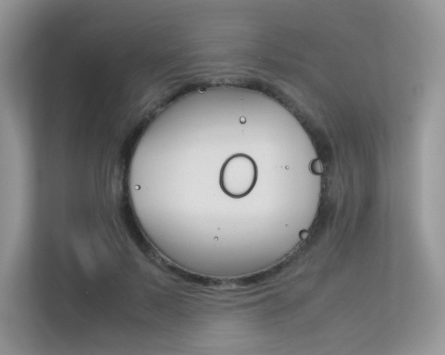 X0000113240695200909100923