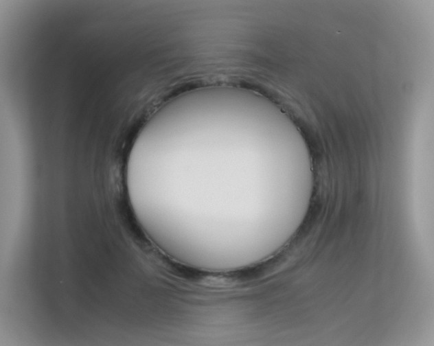 X0000113240699200909100923