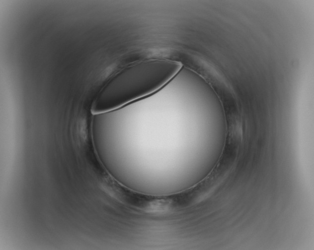 X0000113240700200909100923