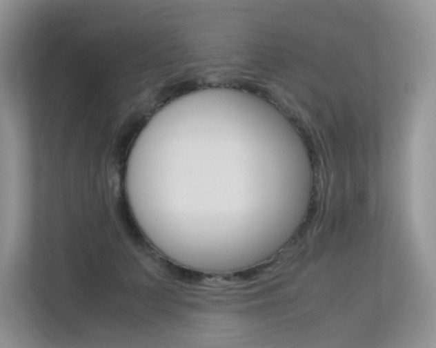 X0000113240703200909100923
