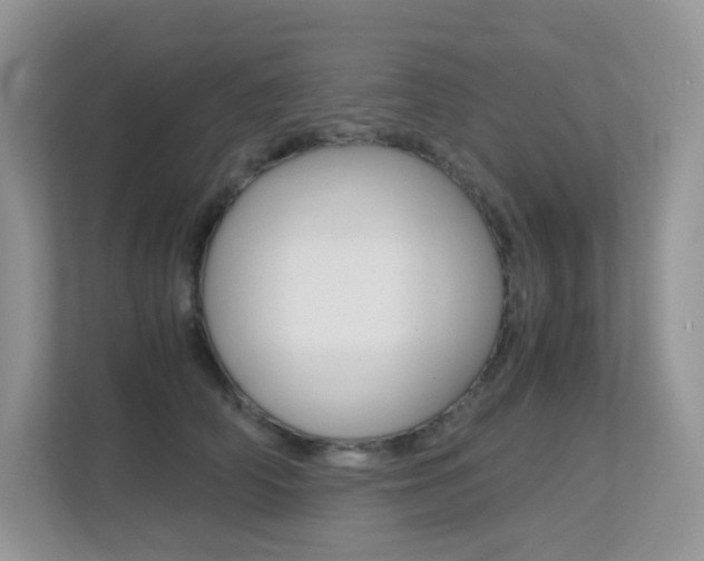 X0000113240706200909100923