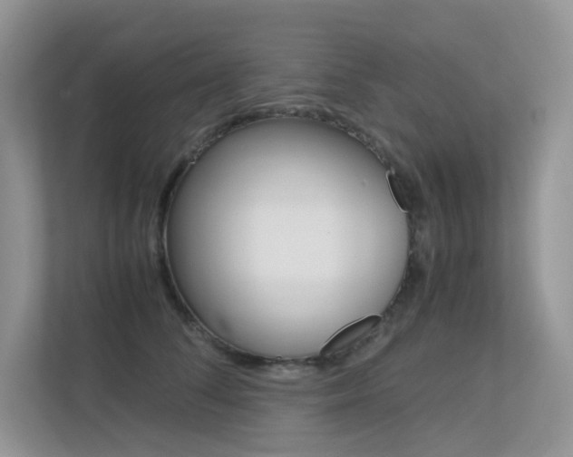 X0000113240708200909100923