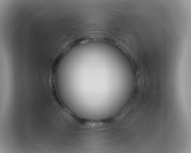 X0000113240712200909100923