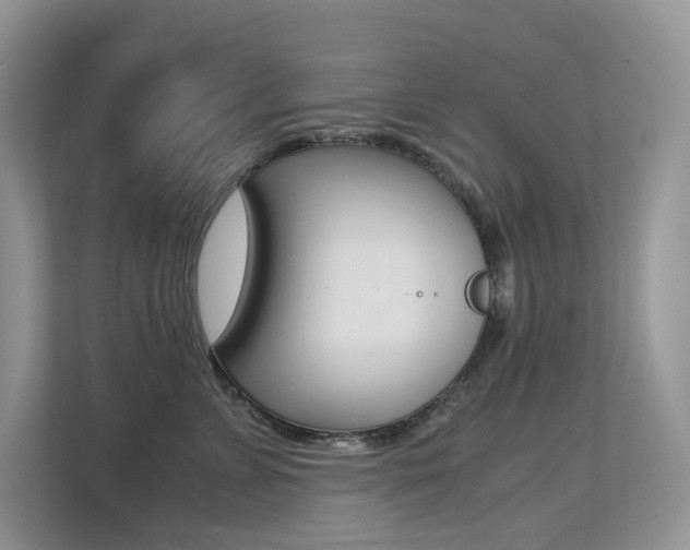X0000113240715200909100923