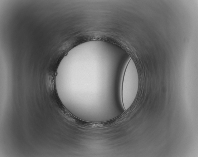 X0000113240719200909100923