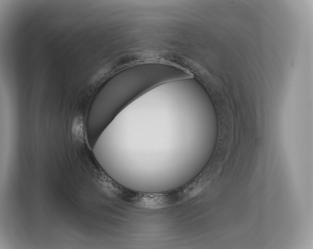 X0000113240720200909100923
