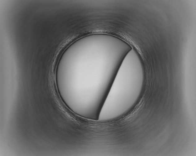 X0000113240721200909100922