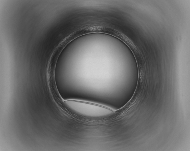 X0000113240722200909100922