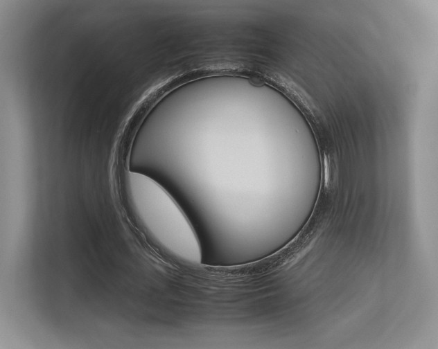 X0000113240723200909100922