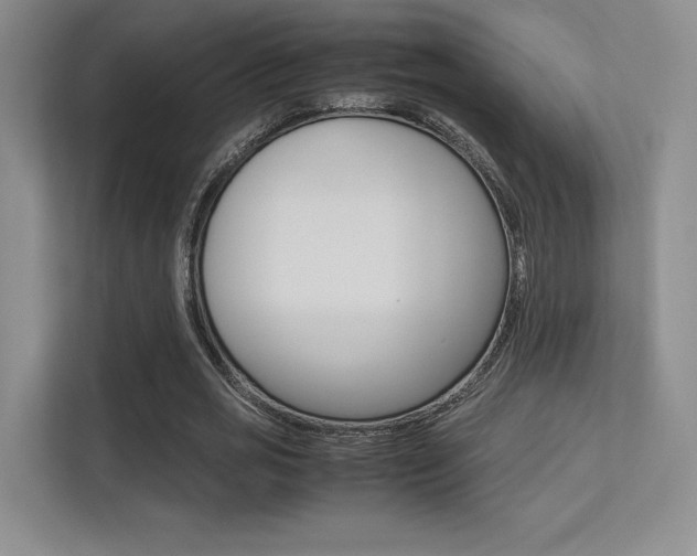 X0000113240725200909100922