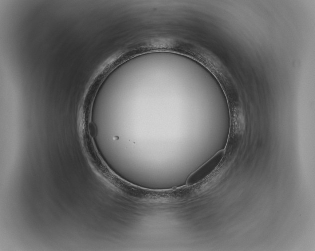 X0000113240726200909100922