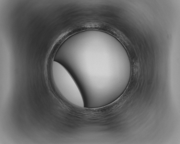 X0000113240727200909100922