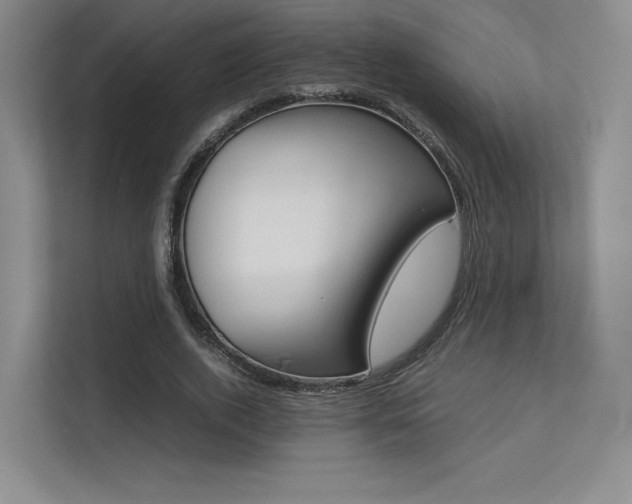 X0000113240728200909100922