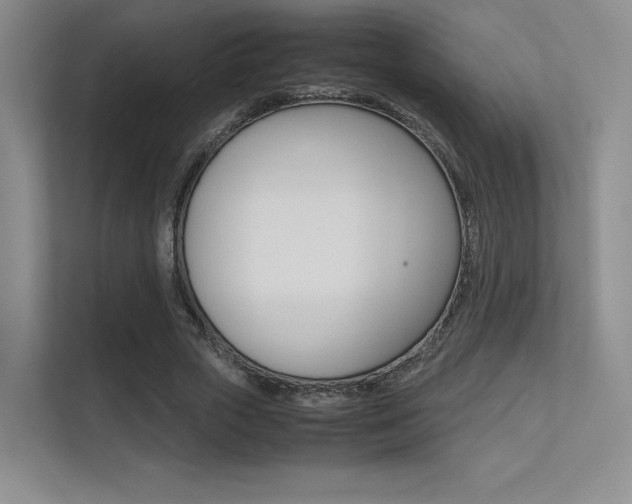X0000113240729200909100922