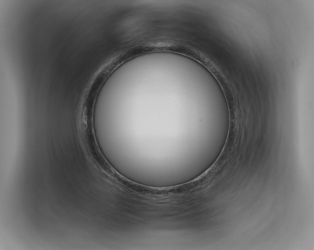 X0000113240731200909100922