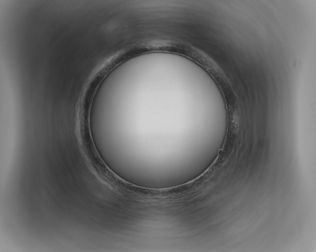 X0000113240732200909100922