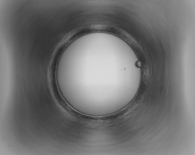 X0000113240734200909100922