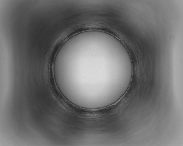 X0000113240735200909100922