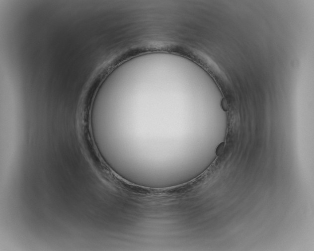 X0000113240736200909100922