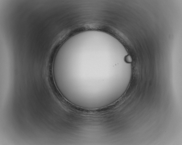 X0000113240738200909100922