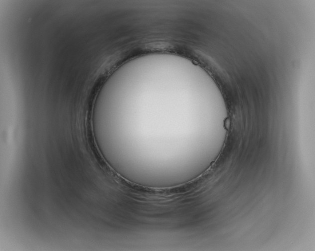 X0000113240739200909100922