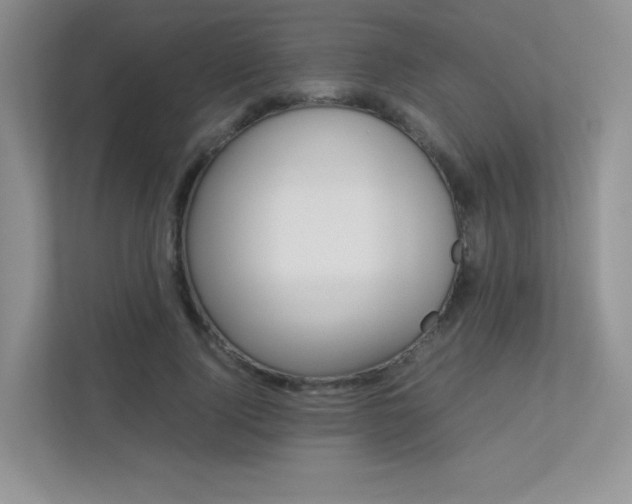 X0000113240740200909100922
