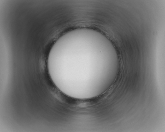 X0000113240746200909100922