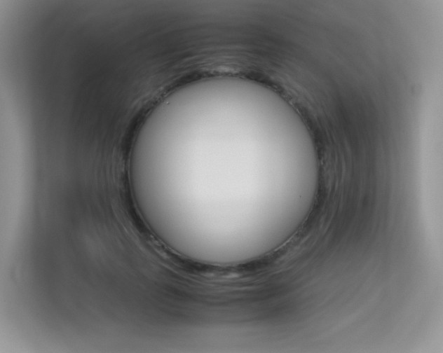 X0000113240747200909100922