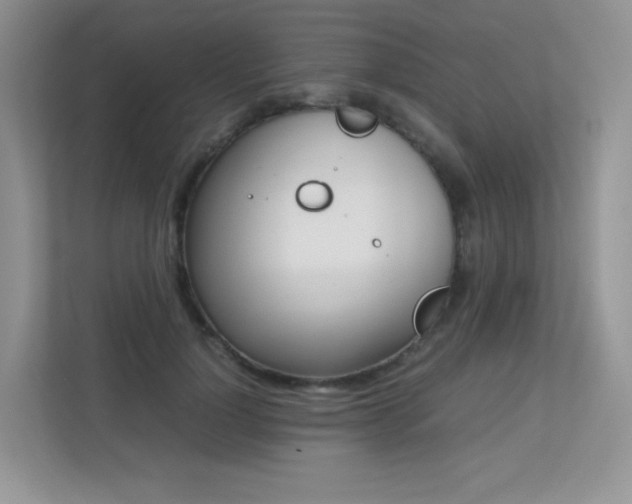 X0000113240748200909100922