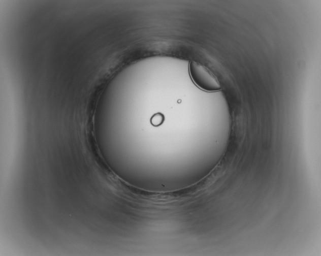 X0000113240750200909100922