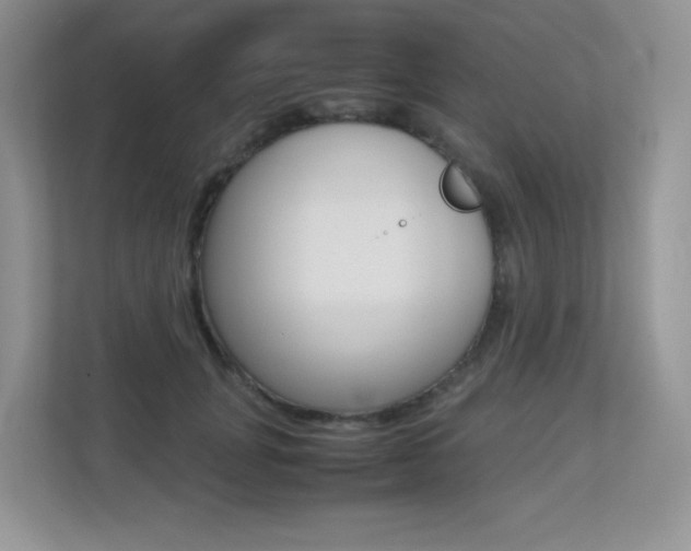 X0000113240751200909100922