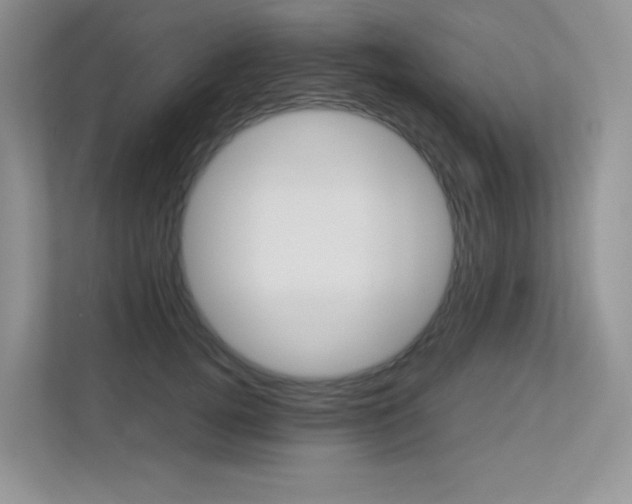 X0000113240752200909100922