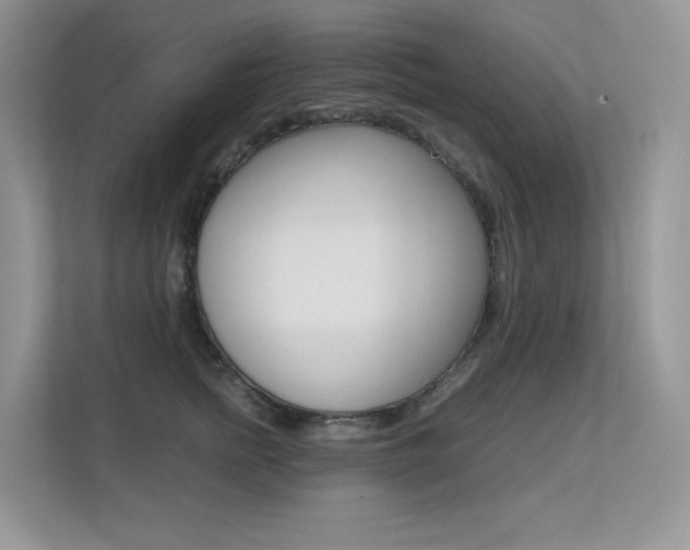 X0000113240758200909100922