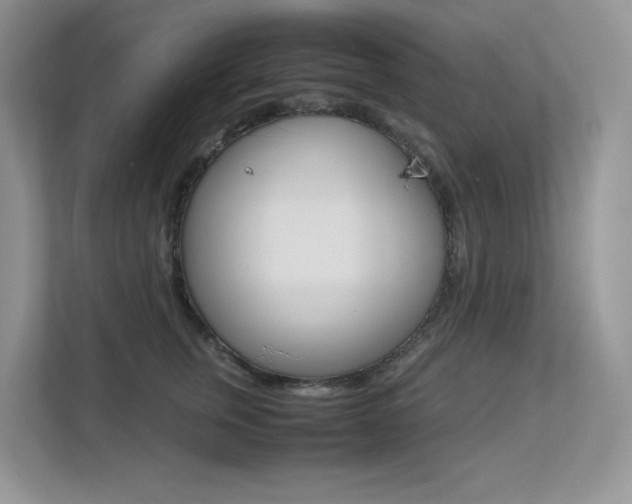 X0000113240759200909100922