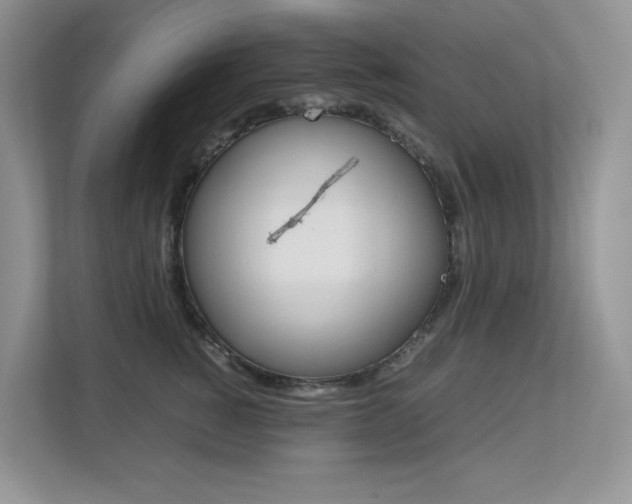 X0000113240760200909100922