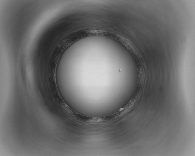 X0000113240762200909100923