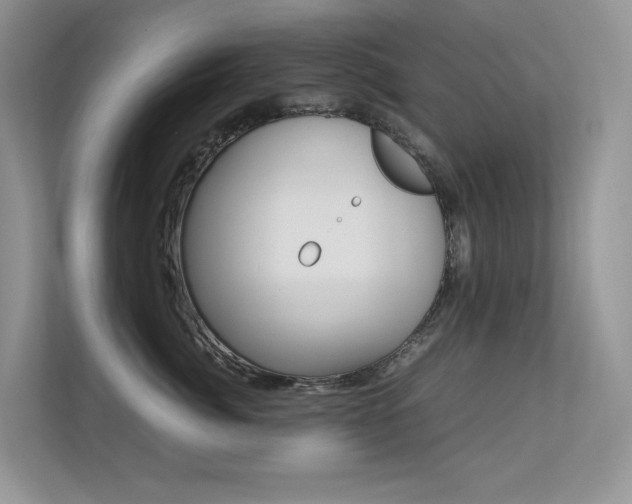 X0000113240764200909100923