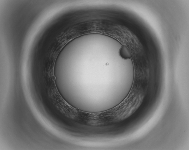 X0000113240766200909100923