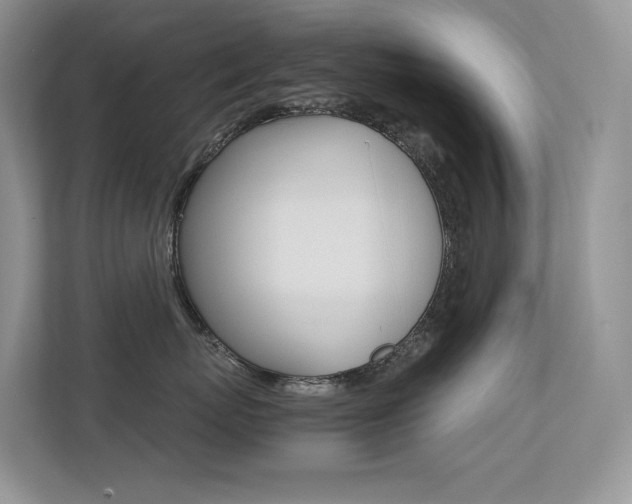 X0000113240767200909100923