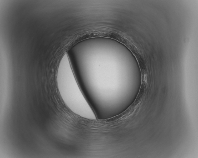 X0000113240771200909100922