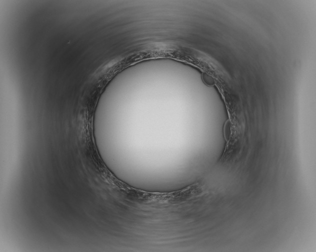 X0000113240773200909100922