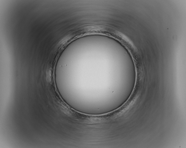 X0000113240777200909100922