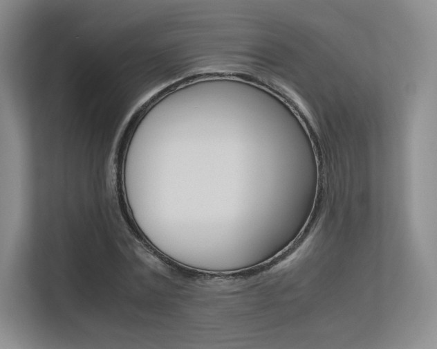 X0000113240779200909100922