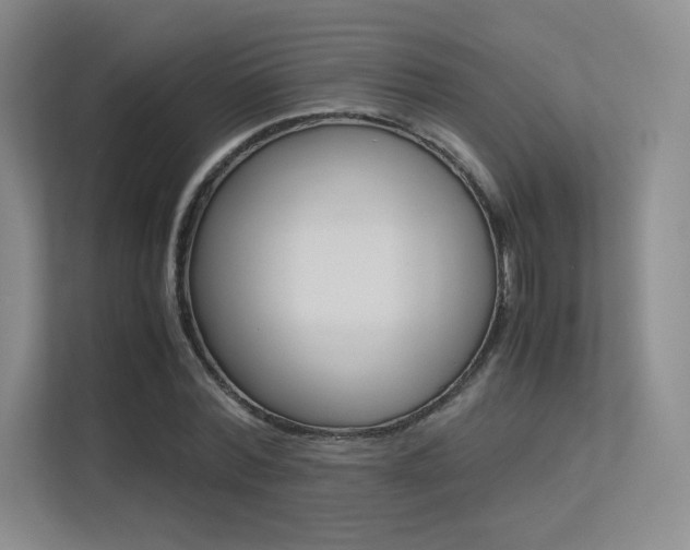 X0000113240780200909100922