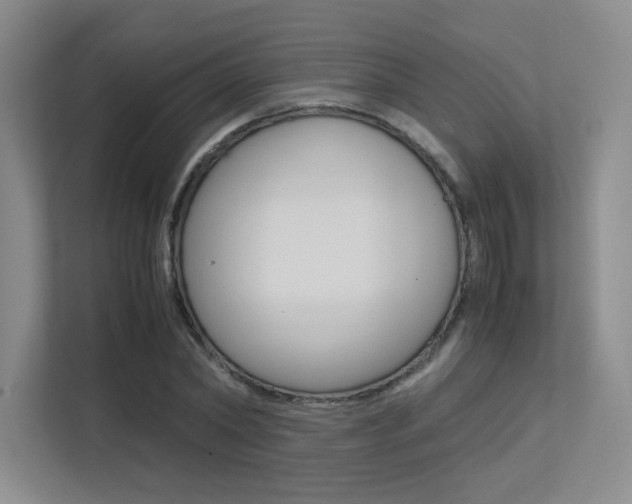 X0000113240782200909100922