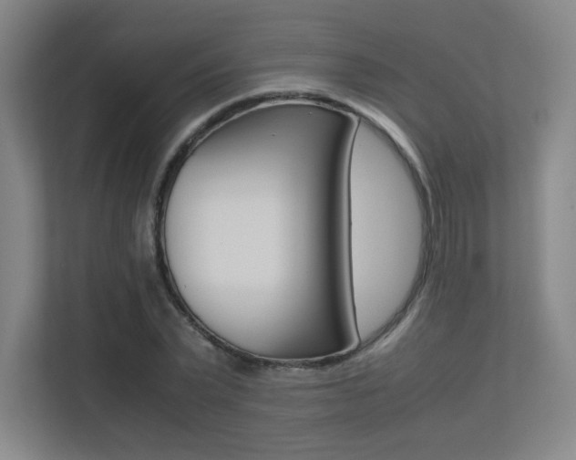 X0000113240783200909100922