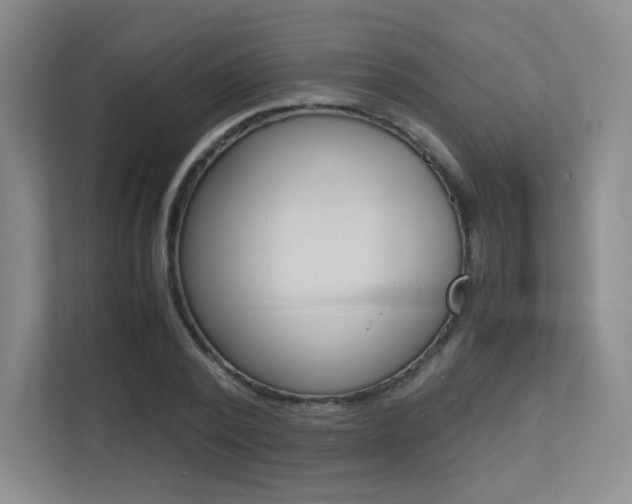 X0000113240784200909100922