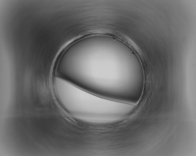 X0000113240787200909100922